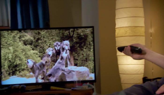 (WOLVES HOWL)  