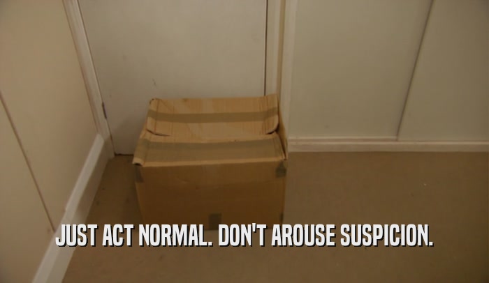 JUST ACT NORMAL. DON'T AROUSE SUSPICION.  