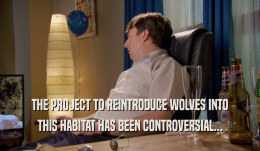 THE PROJECT TO REINTRODUCE WOLVES INTO THIS HABITAT HAS BEEN CONTROVERSIAL... 