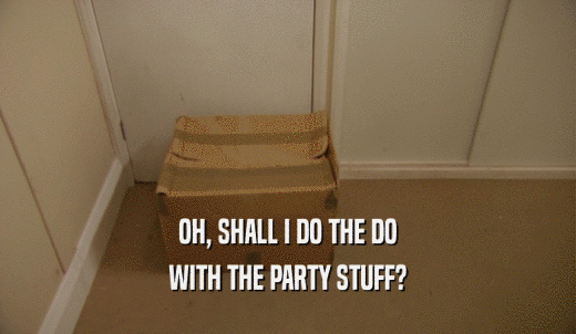 OH, SHALL I DO THE DO WITH THE PARTY STUFF? 