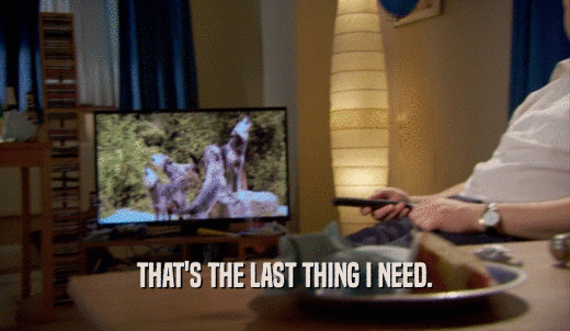 THAT'S THE LAST THING I NEED.  
