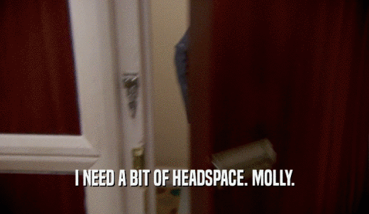 I NEED A BIT OF HEADSPACE. MOLLY.  