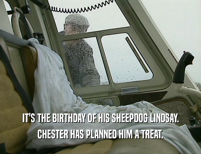 IT'S THE BIRTHDAY OF HIS SHEEPDOG LINDSAY.
 CHESTER HAS PLANNED HIM A TREAT.
 