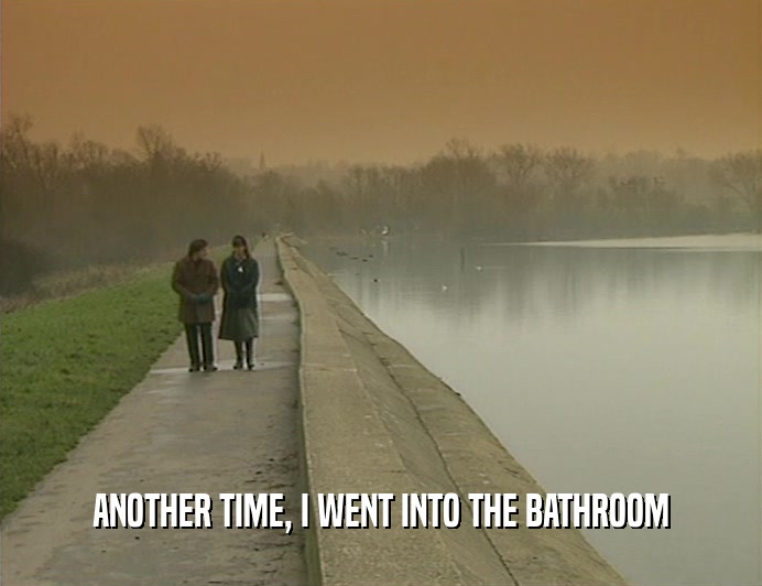 ANOTHER TIME, I WENT INTO THE BATHROOM  