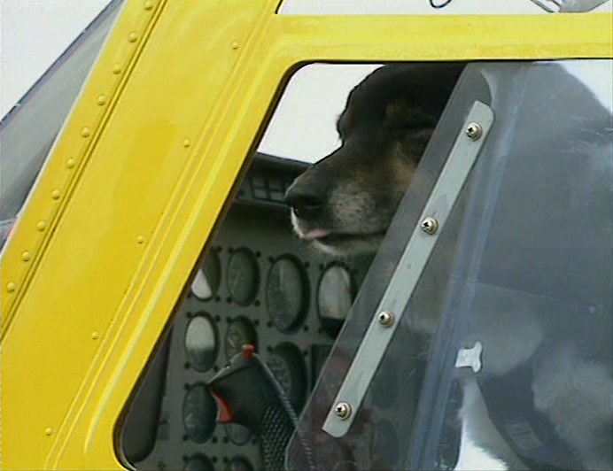 (REPORTER) BUT THEY WERE ABOUT TO MAKE A FLIGHT THEY WOULD NEVER FORGET, 