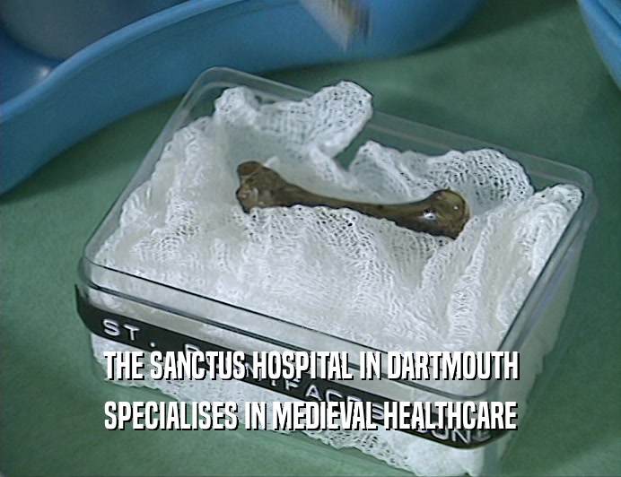 THE SANCTUS HOSPITAL IN DARTMOUTH
 SPECIALISES IN MEDIEVAL HEALTHCARE
 