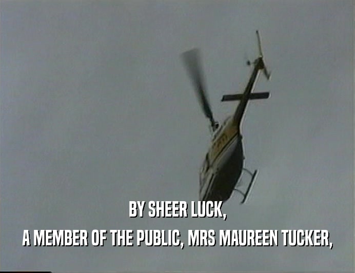 BY SHEER LUCK,
 A MEMBER OF THE PUBLIC, MRS MAUREEN TUCKER,
 