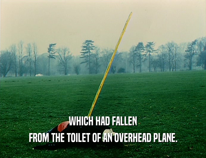 WHICH HAD FALLEN
 FROM THE TOILET OF AN OVERHEAD PLANE.
 