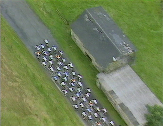 THAT LOOK LIKE CATTLE, IN A MAD WAY, BUT CATTLE ON BIKES. 
