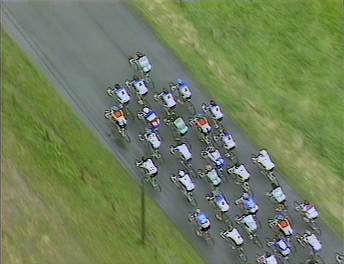THAT LOOK LIKE CATTLE, IN A MAD WAY, BUT CATTLE ON BIKES. 