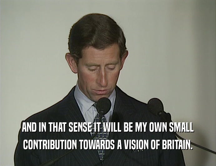 AND IN THAT SENSE IT WILL BE MY OWN SMALL
 CONTRIBUTION TOWARDS A VISION OF BRITAIN.
 