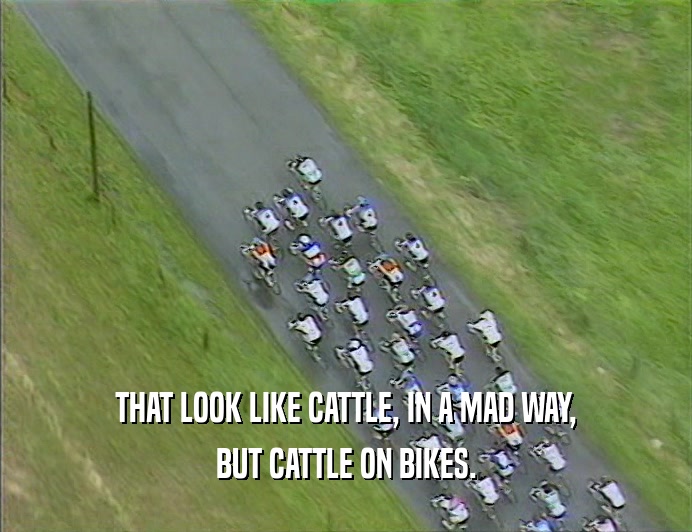 THAT LOOK LIKE CATTLE, IN A MAD WAY,
 BUT CATTLE ON BIKES.
 