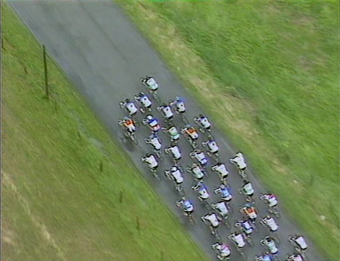 THAT LOOK LIKE CATTLE, IN A MAD WAY, BUT CATTLE ON BIKES. 