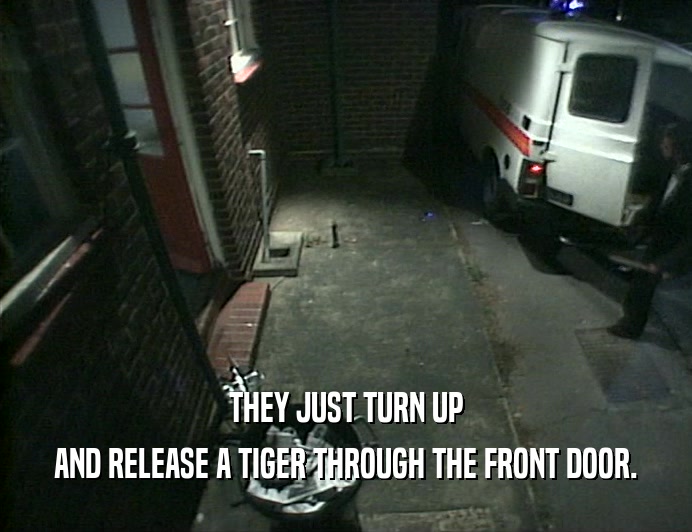 THEY JUST TURN UP
 AND RELEASE A TIGER THROUGH THE FRONT DOOR.
 