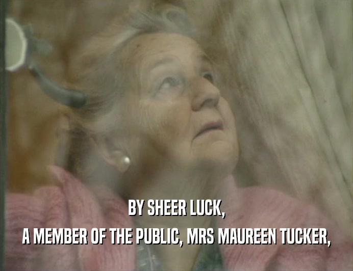 BY SHEER LUCK,
 A MEMBER OF THE PUBLIC, MRS MAUREEN TUCKER,
 