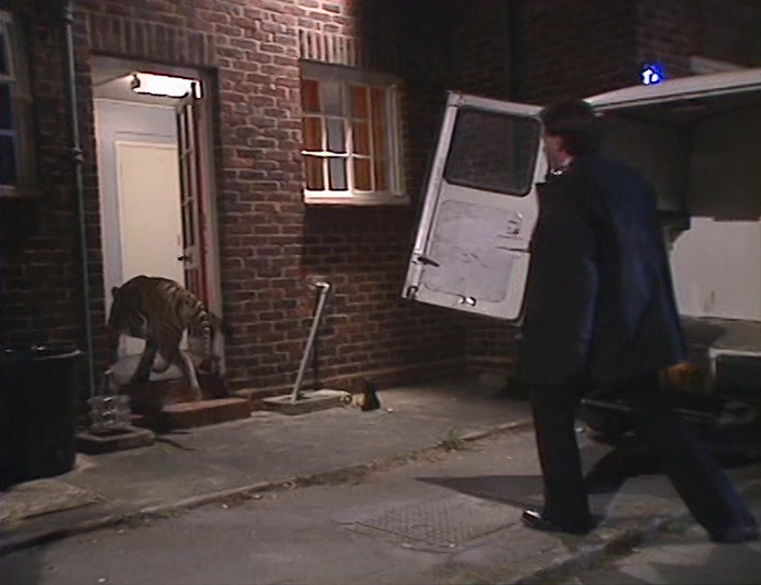 THEY JUST TURN UP
 AND RELEASE A TIGER THROUGH THE FRONT DOOR.
 