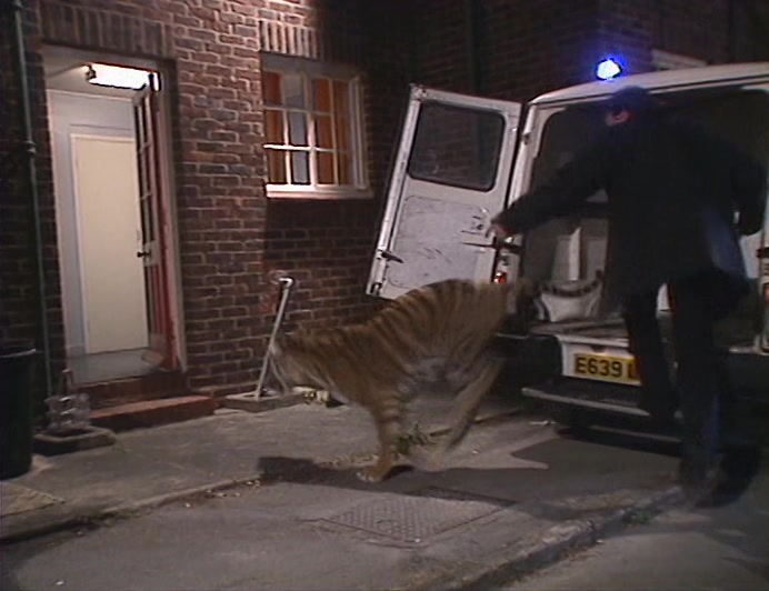 THEY JUST TURN UP AND RELEASE A TIGER THROUGH THE FRONT DOOR. 
