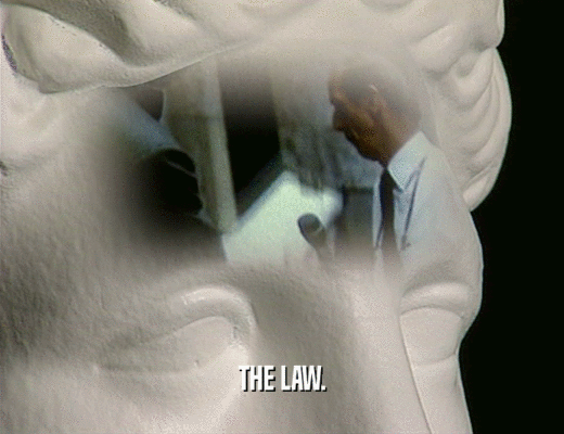 THE LAW.
  