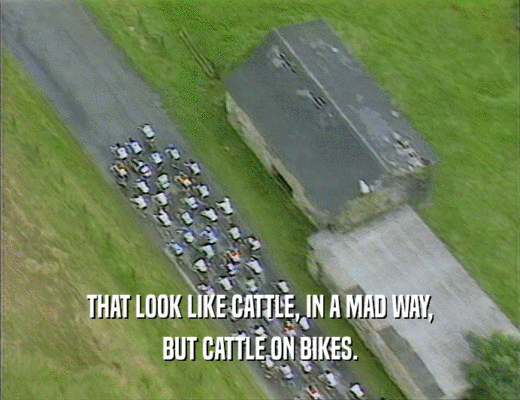 THAT LOOK LIKE CATTLE, IN A MAD WAY,
 BUT CATTLE ON BIKES.
 