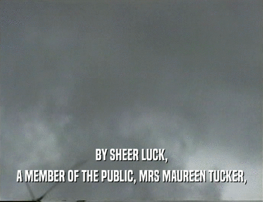 BY SHEER LUCK, A MEMBER OF THE PUBLIC, MRS MAUREEN TUCKER, 