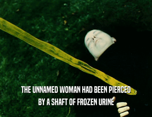 THE UNNAMED WOMAN HAD BEEN PIERCED
 BY A SHAFT OF FROZEN URINE
 