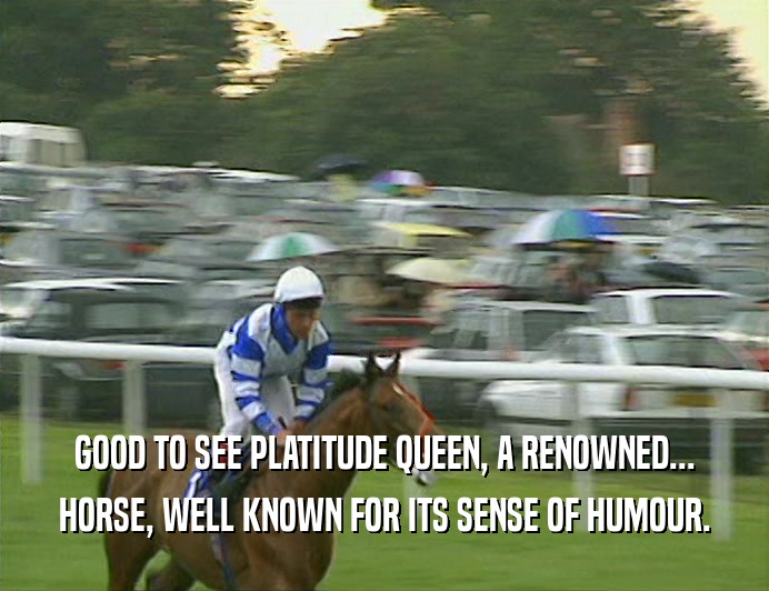 GOOD TO SEE PLATITUDE QUEEN, A RENOWNED... HORSE, WELL KNOWN FOR ITS SENSE OF HUMOUR. 