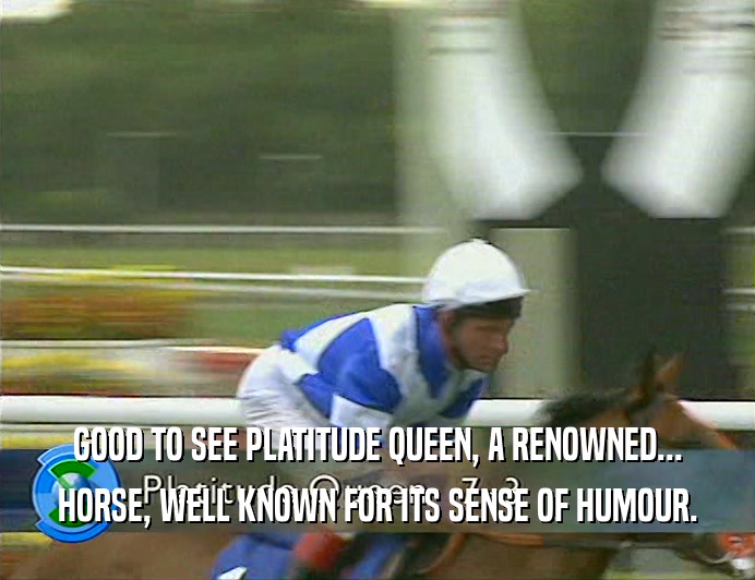 GOOD TO SEE PLATITUDE QUEEN, A RENOWNED... HORSE, WELL KNOWN FOR ITS SENSE OF HUMOUR. 