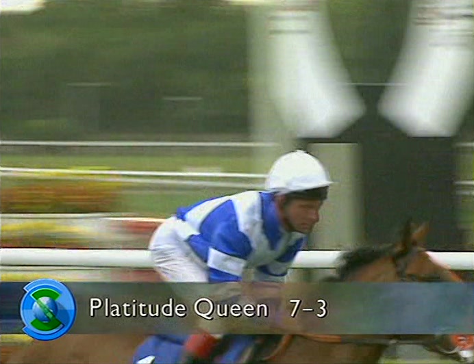 GOOD TO SEE PLATITUDE QUEEN, A RENOWNED... HORSE, WELL KNOWN FOR ITS SENSE OF HUMOUR. 