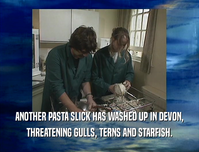 ANOTHER PASTA SLICK HAS WASHED UP IN DEVON, THREATENING GULLS, TERNS AND STARFISH. 