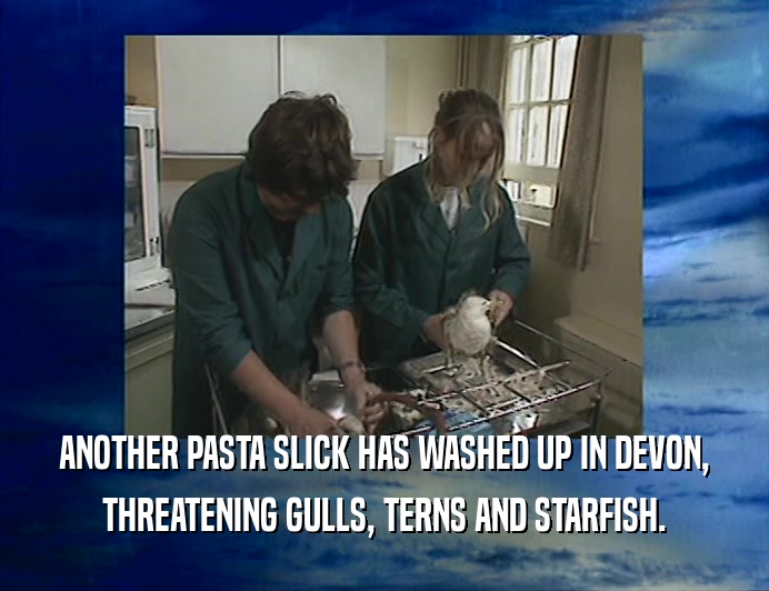 ANOTHER PASTA SLICK HAS WASHED UP IN DEVON,
 THREATENING GULLS, TERNS AND STARFISH.
 