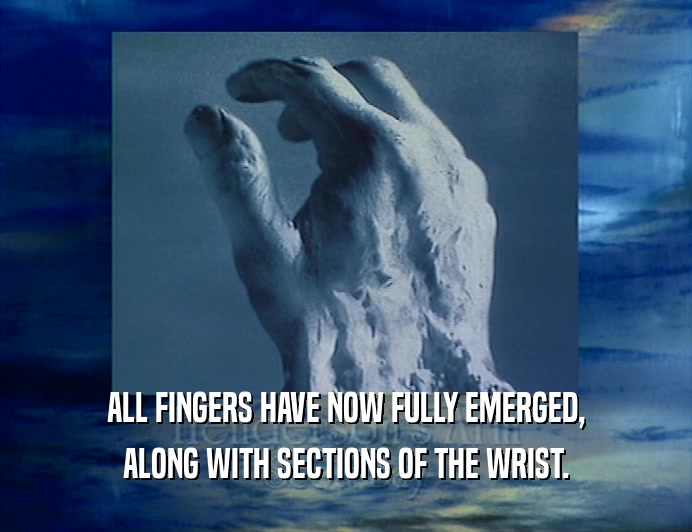 ALL FINGERS HAVE NOW FULLY EMERGED,
 ALONG WITH SECTIONS OF THE WRIST.
 