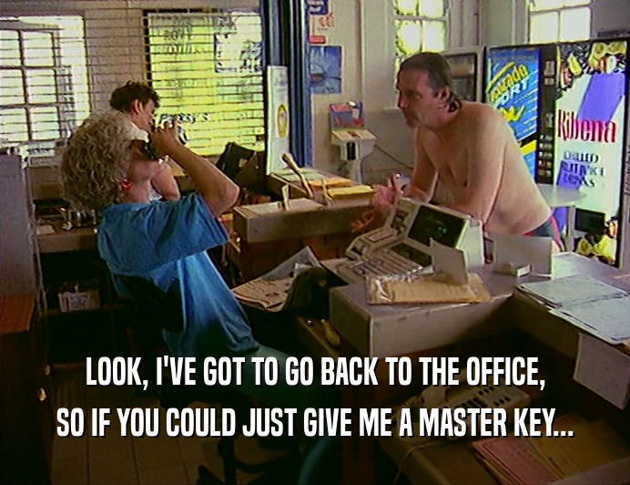 LOOK, I'VE GOT TO GO BACK TO THE OFFICE,
 SO IF YOU COULD JUST GIVE ME A MASTER KEY...
 