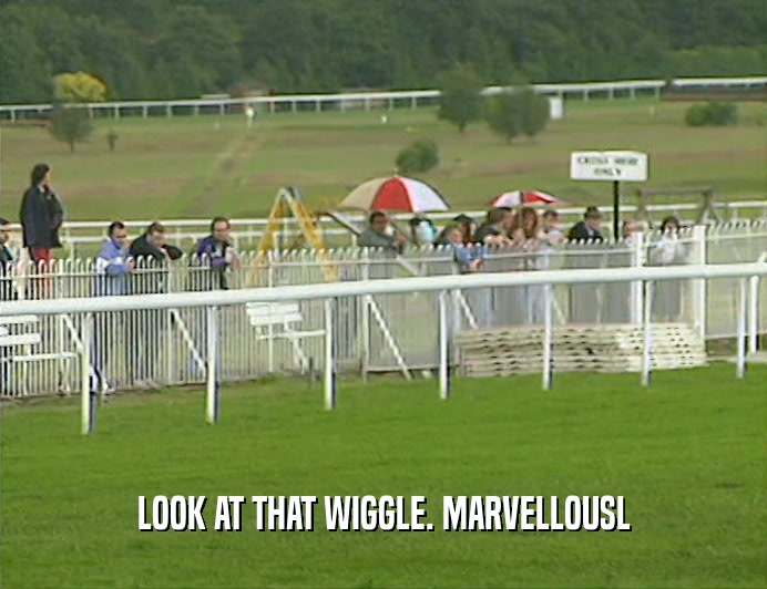 LOOK AT THAT WIGGLE. MARVELLOUSL  
