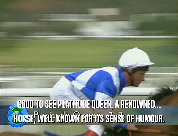 GOOD TO SEE PLATITUDE QUEEN, A RENOWNED... HORSE, WELL KNOWN FOR ITS SENSE OF HUMOUR. 