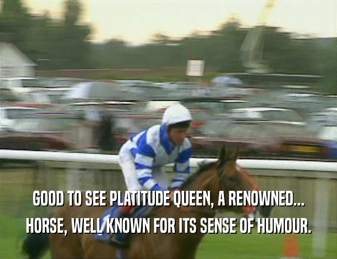 GOOD TO SEE PLATITUDE QUEEN, A RENOWNED... HORSE, WELL KNOWN FOR ITS SENSE OF HUMOUR. 
