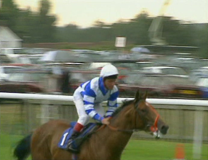GOOD TO SEE PLATITUDE QUEEN, A RENOWNED... HORSE, WELL KNOWN FOR ITS SENSE OF HUMOUR. 