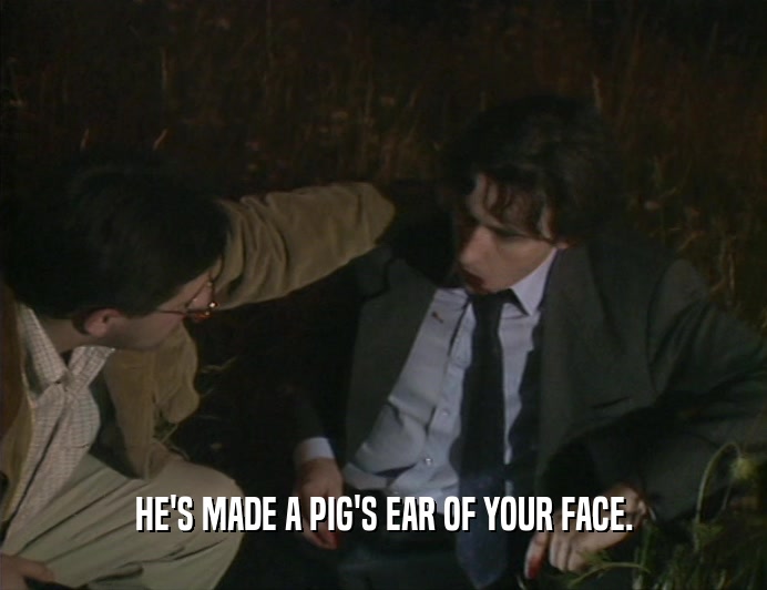 HE'S MADE A PIG'S EAR OF YOUR FACE.
  