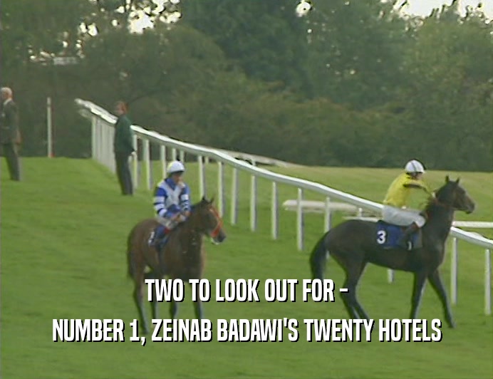 TWO TO LOOK OUT FOR - NUMBER 1, ZEINAB BADAWI'S TWENTY HOTELS 