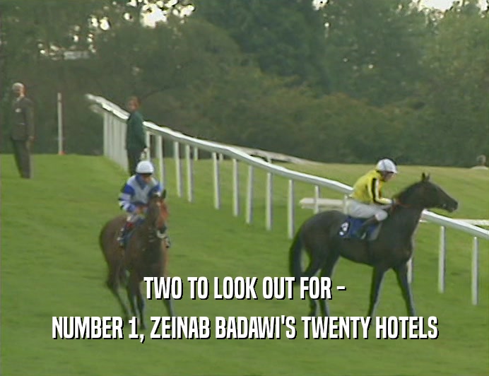 TWO TO LOOK OUT FOR - NUMBER 1, ZEINAB BADAWI'S TWENTY HOTELS 