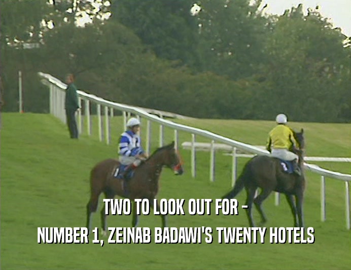 TWO TO LOOK OUT FOR - NUMBER 1, ZEINAB BADAWI'S TWENTY HOTELS 