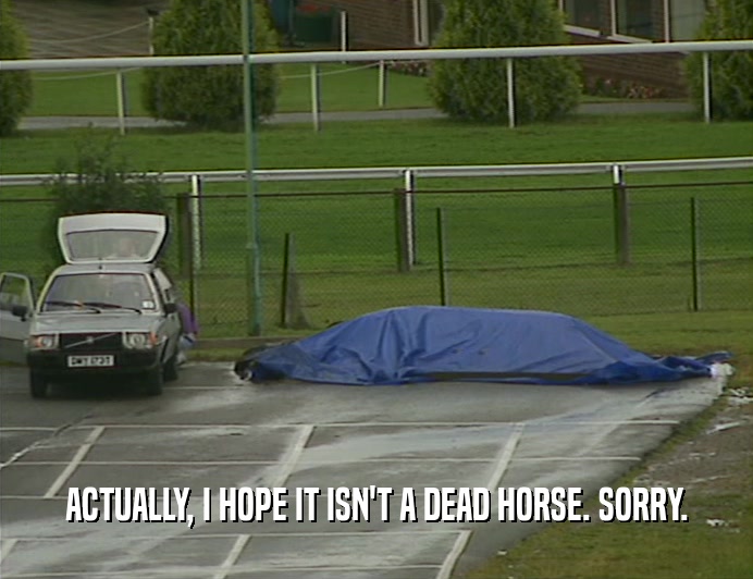 ACTUALLY, I HOPE IT ISN'T A DEAD HORSE. SORRY.  