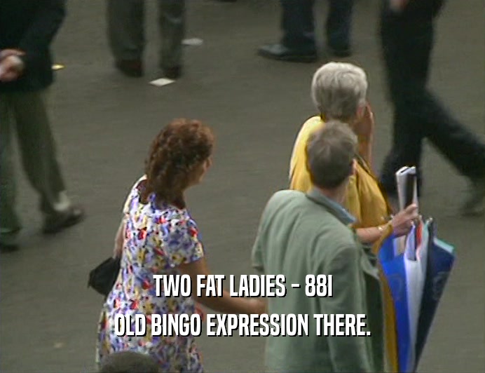 TWO FAT LADIES - 88I
 OLD BINGO EXPRESSION THERE.
 