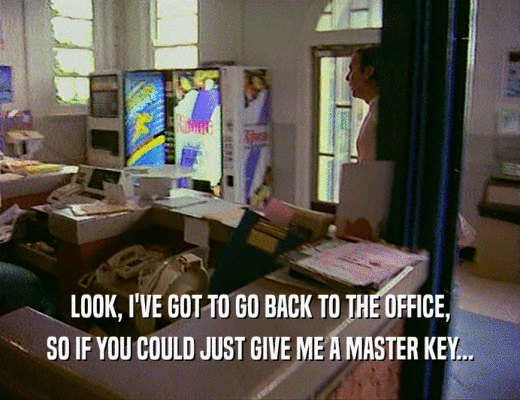 LOOK, I'VE GOT TO GO BACK TO THE OFFICE, SO IF YOU COULD JUST GIVE ME A MASTER KEY... 