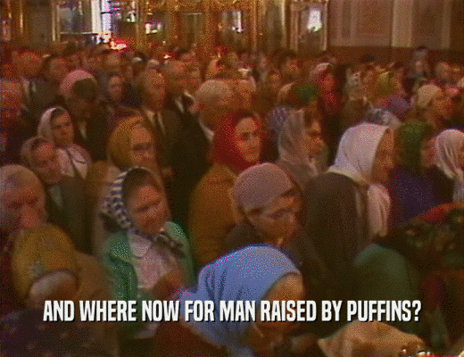 AND WHERE NOW FOR MAN RAISED BY PUFFINS?  