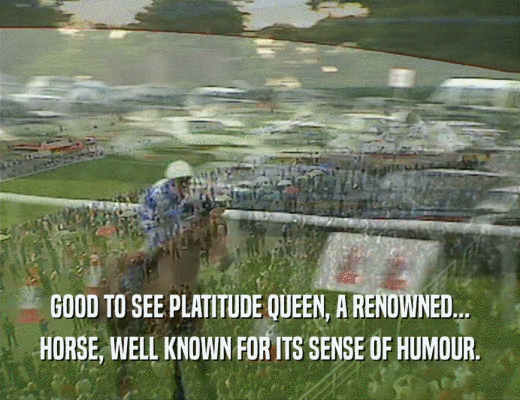 GOOD TO SEE PLATITUDE QUEEN, A RENOWNED... HORSE, WELL KNOWN FOR ITS SENSE OF HUMOUR. 