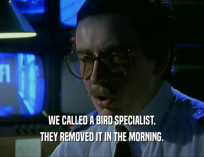 WE CALLED A BIRD SPECIALIST. THEY REMOVED IT IN THE MORNING. 