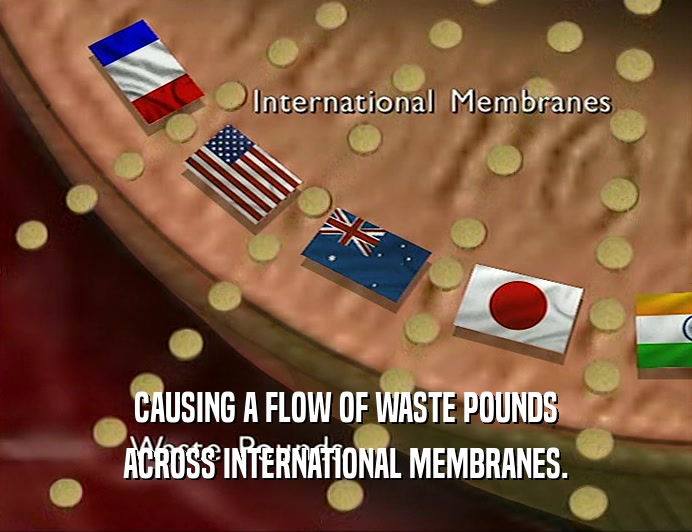 CAUSING A FLOW OF WASTE POUNDS
 ACROSS INTERNATIONAL MEMBRANES.
 
