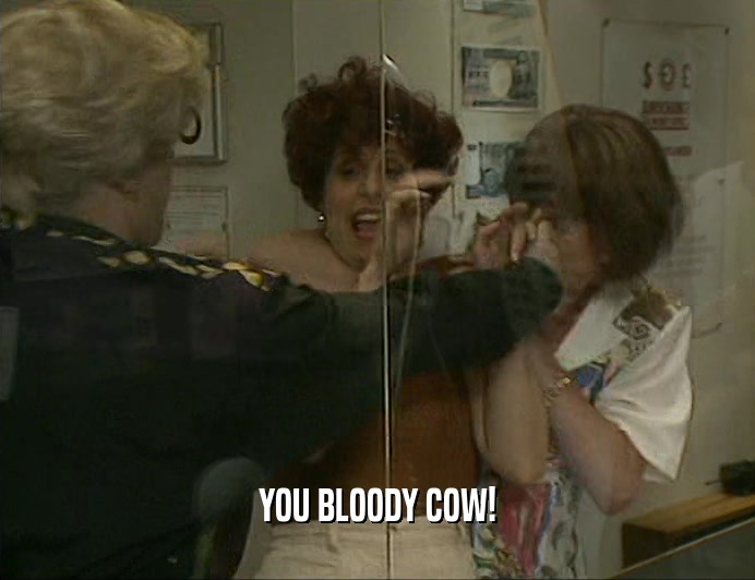 YOU BLOODY COW!
  