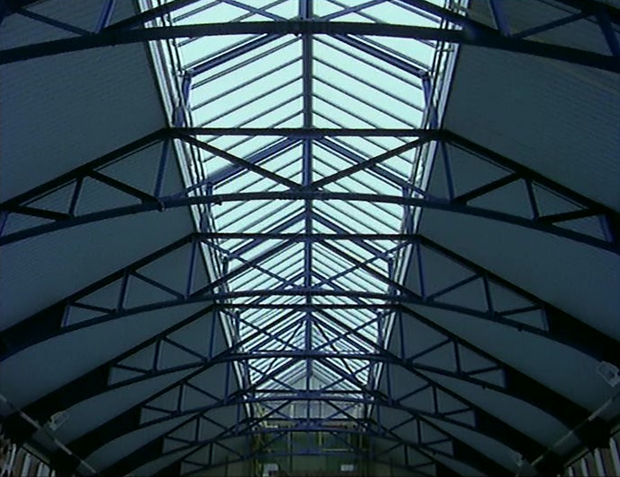 AND WAS FLAPPING ABOUT IN THE RAFTERS.  