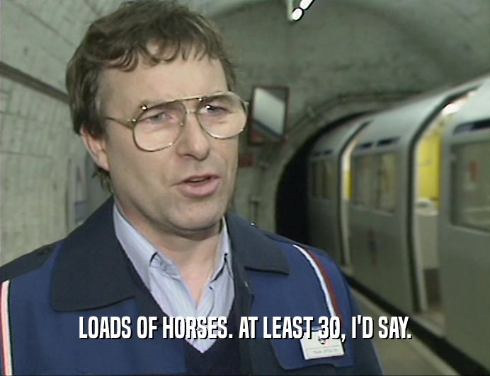 LOADS OF HORSES. AT LEAST 3O, I'D SAY.  